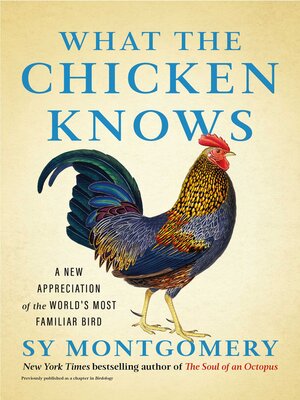 cover image of What the Chicken Knows